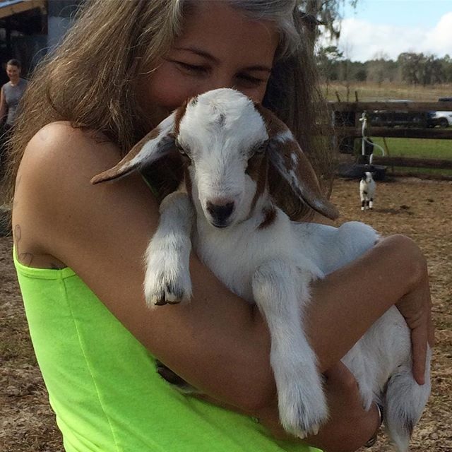 Goat Yoga, it’s a thing.