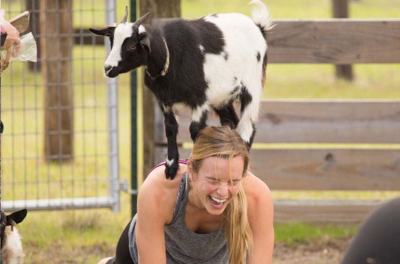 Goat Yoga: G.O.A.T (Greatest Of All Time)