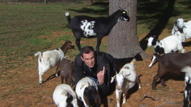 It Happens Here: Georgetown’s ‘Goats To Go’ At Great Rock Farm﻿