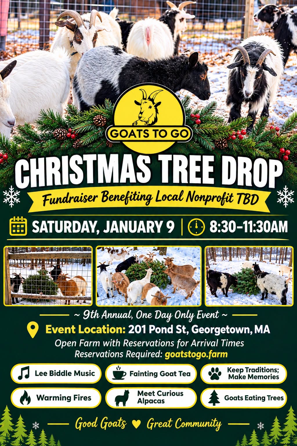 Christmas Trees for Goats!